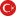Türkçe